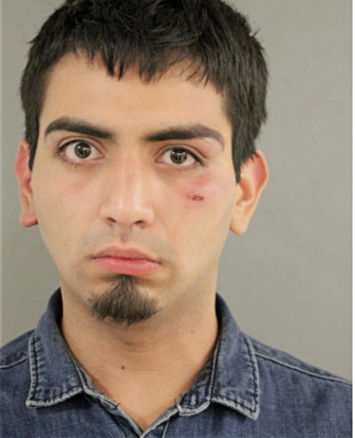 JAVIER V DELGADO, Cook County, Illinois