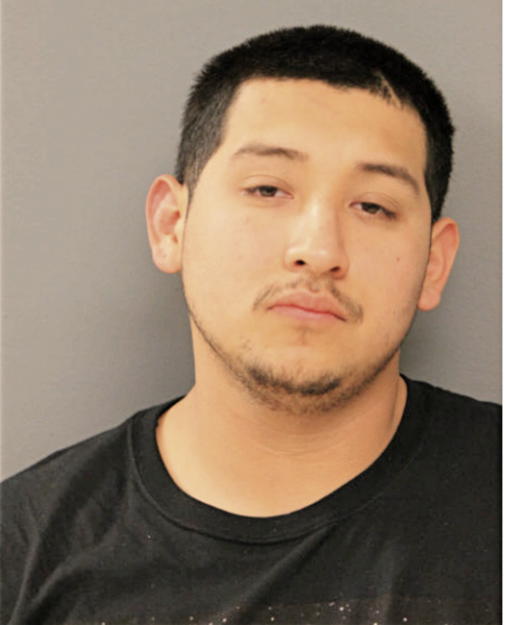 EDWIN V DIAZ, Cook County, Illinois