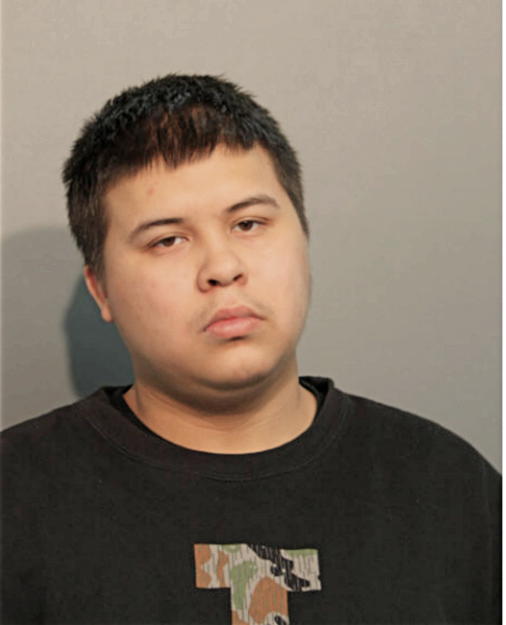 BRANDON L DZIUBANEK, Cook County, Illinois