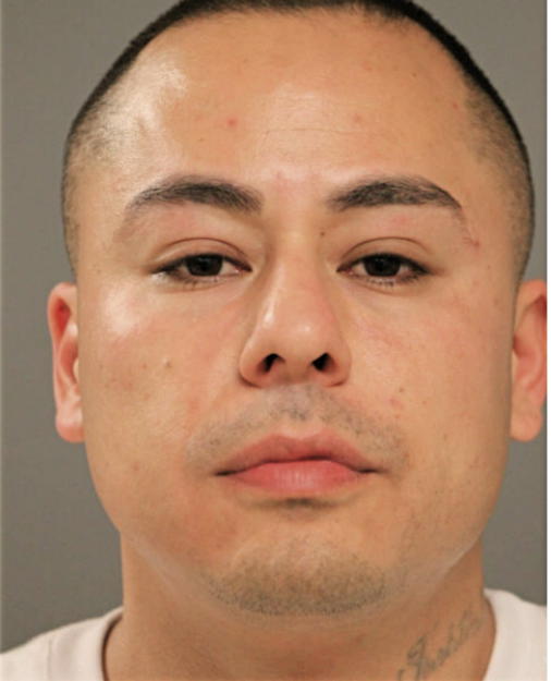 FELIX ESTRADA, Cook County, Illinois