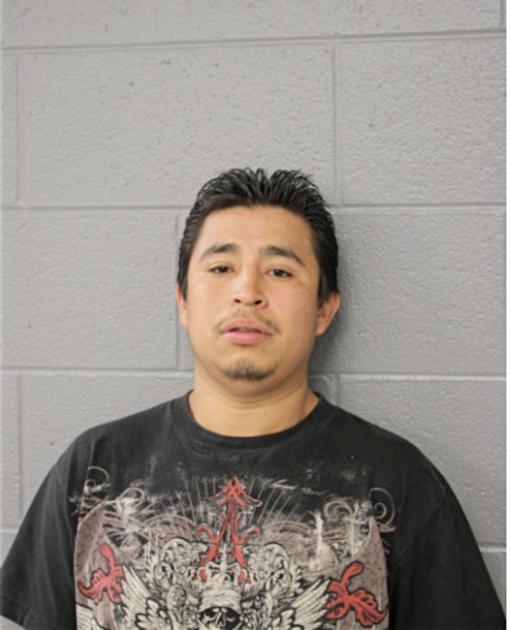 RICARDO FERNANDEZ, Cook County, Illinois