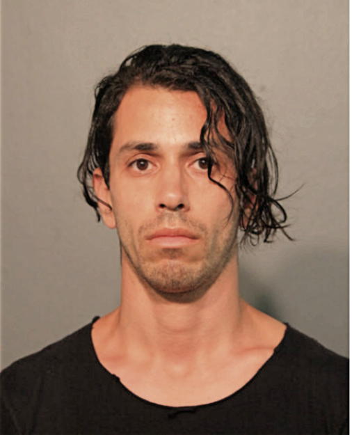 STEPHEN FIORENZA, Cook County, Illinois