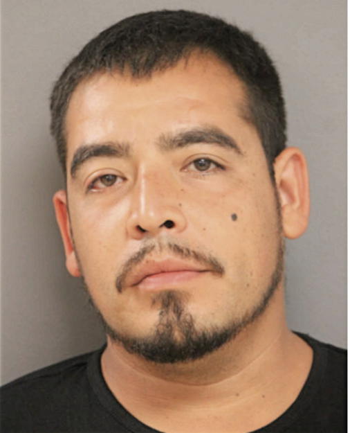 FERMIN GAMINO, Cook County, Illinois