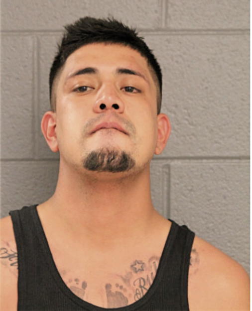EDGAR E GARCIA-RAMIREZ, Cook County, Illinois