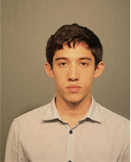 ALEXANDER A GAZSO, Cook County, Illinois