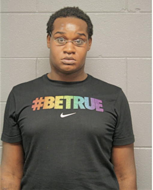 DEANDRE M GIPSON, Cook County, Illinois