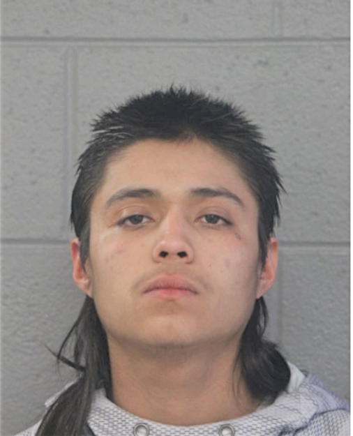 CYRUS GOLLAZ, Cook County, Illinois