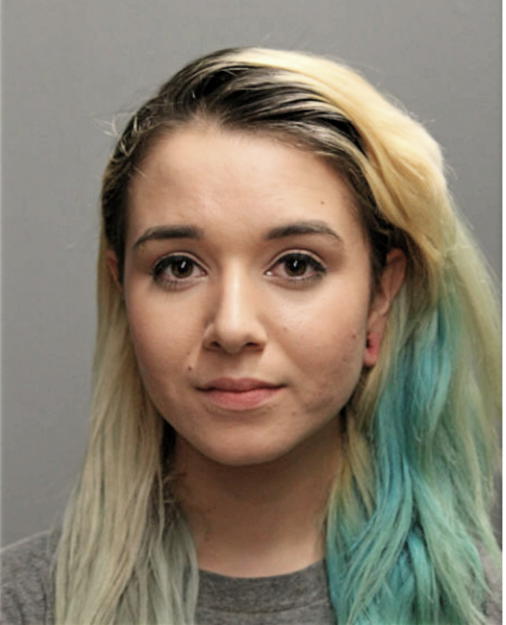 MERCEDES L GUERRERO, Cook County, Illinois