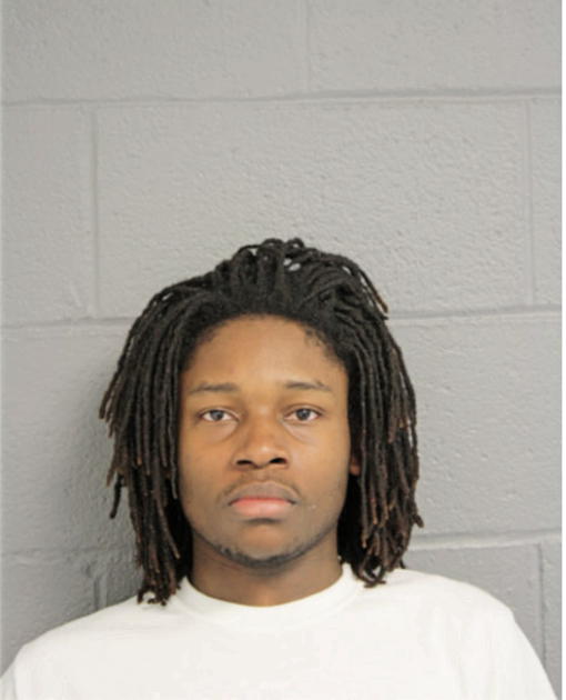 TIMOTHY D HAMILTON, Cook County, Illinois