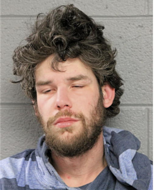 WILLIAM R HOWARD, Cook County, Illinois
