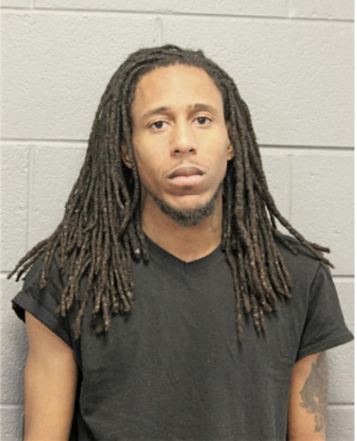 ANTHONY L JAMES, Cook County, Illinois