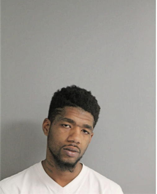 CAMERON L JOHNSON, Cook County, Illinois