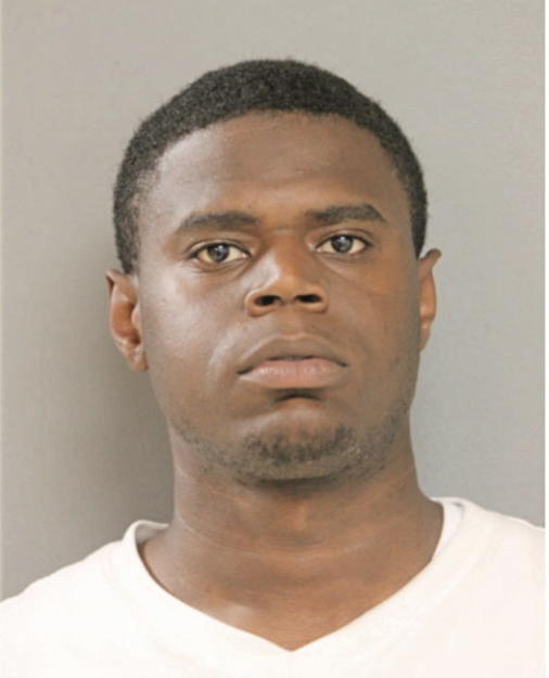 DARRYL N JOHNSON, Cook County, Illinois