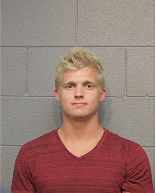 ALEX L LITGEN, Cook County, Illinois