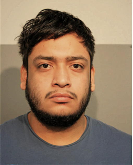 CESAR A MARTINEZ, Cook County, Illinois