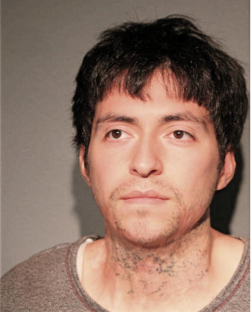 ERIK MARTINEZ, Cook County, Illinois