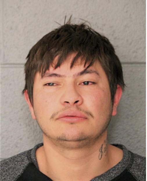 LUIS MARTINEZ, Cook County, Illinois