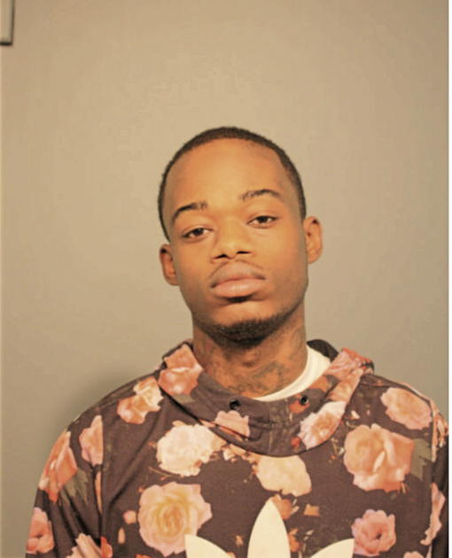 JOHNELLE M MCDONALD, Cook County, Illinois
