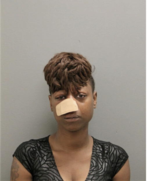 KENISHA L MCGREW, Cook County, Illinois