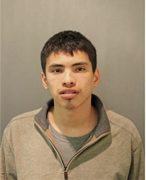 JOSE MENA, Cook County, Illinois
