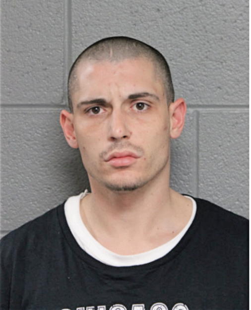 MICHAEL A MERINO, Cook County, Illinois