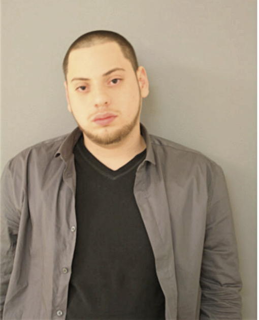 GEORGE A NAVARRO, Cook County, Illinois
