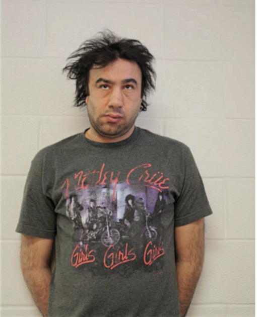 MOHAMED A OMRAN, Cook County, Illinois