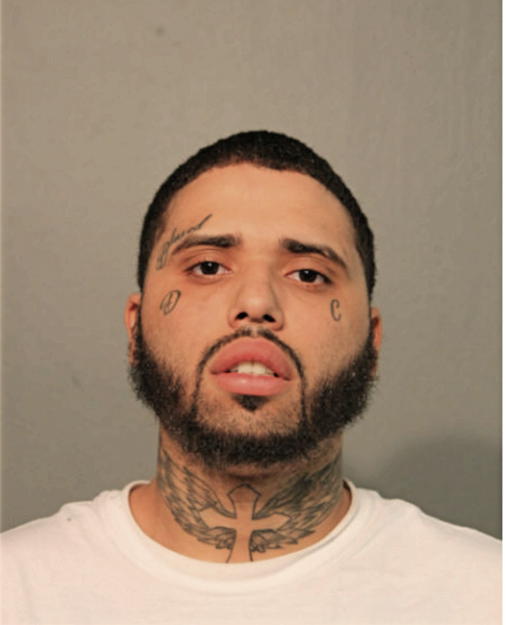 JOSEPH M ROMAN, Cook County, Illinois
