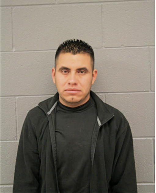 ANDRES ROMERO, Cook County, Illinois