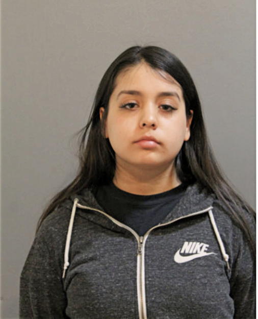 VANESSA SILVA, Cook County, Illinois