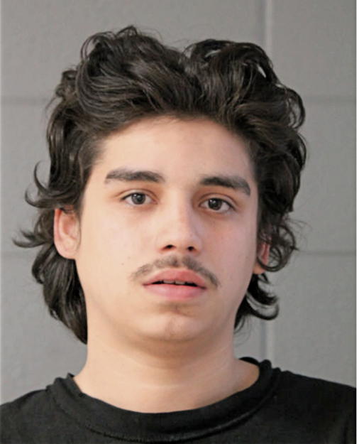 NICHOLAS J SOLIS, Cook County, Illinois