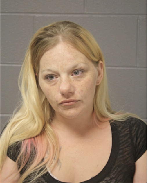 KATIE E VANDAM, Cook County, Illinois