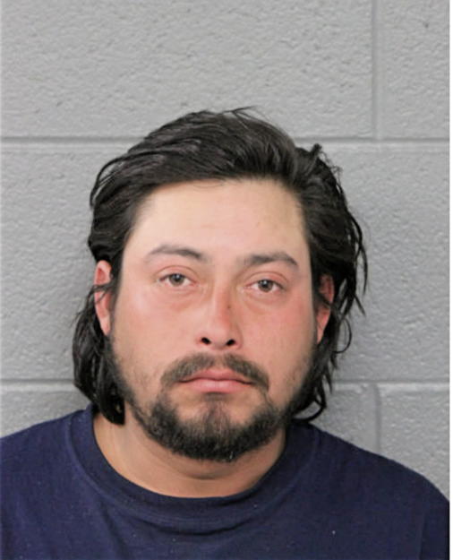 RENE VIDERIQUE, Cook County, Illinois