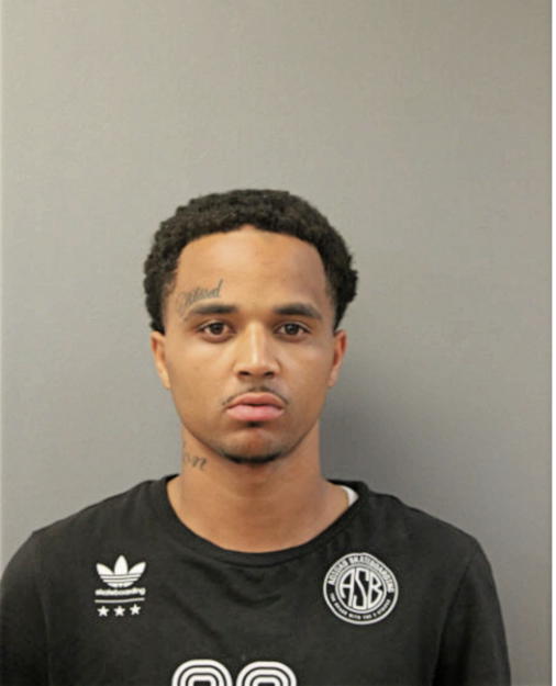 TERRELL D WYATT, Cook County, Illinois