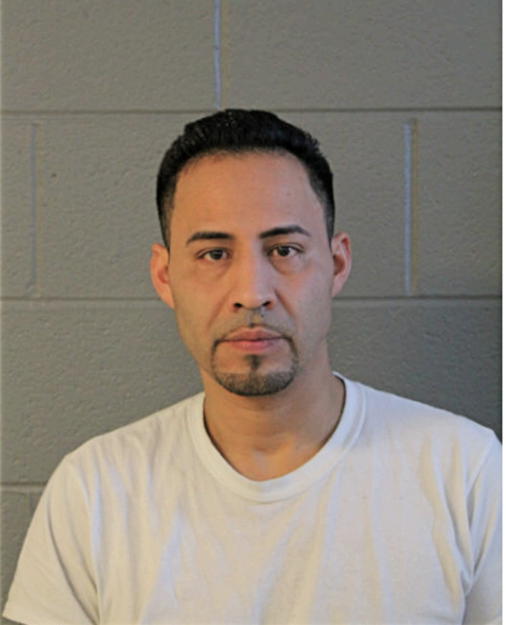LUIS M ACEVES, Cook County, Illinois