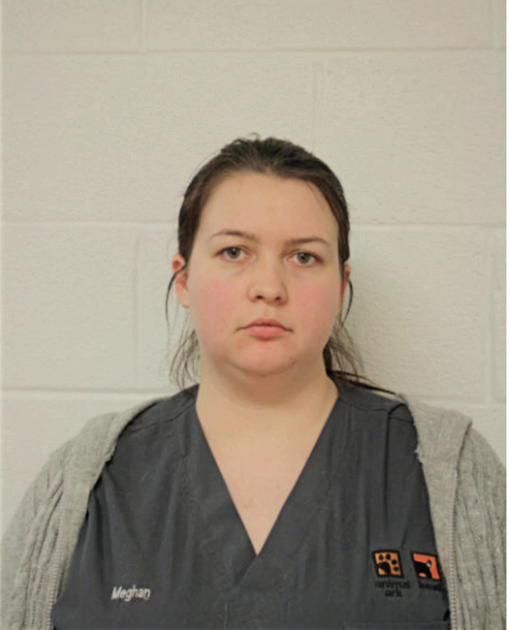 MEGHAN E ADAMS, Cook County, Illinois