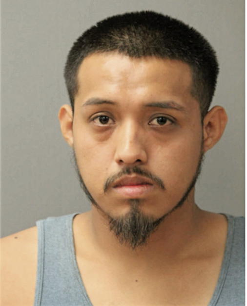 RICARDO ALCALA, Cook County, Illinois