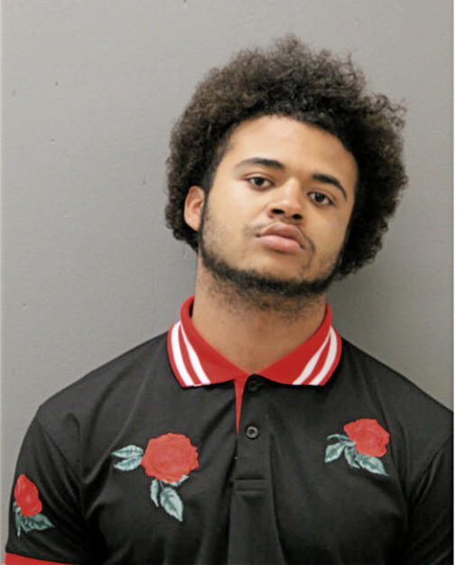 SOLOMON T ALEXANDER, Cook County, Illinois