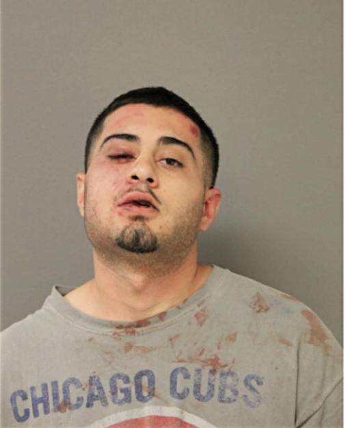 MICHAEL P ALIBHAI, Cook County, Illinois