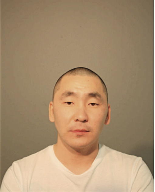 SAYAN B. BATOROV, Cook County, Illinois