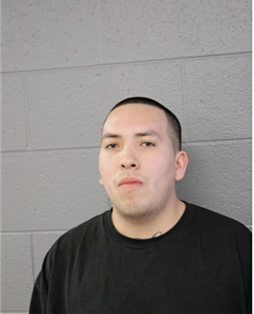 FERNANDO CASTANEDA, Cook County, Illinois