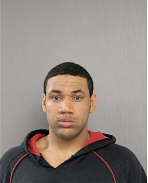 JOSHUA L FERGUSON, Cook County, Illinois