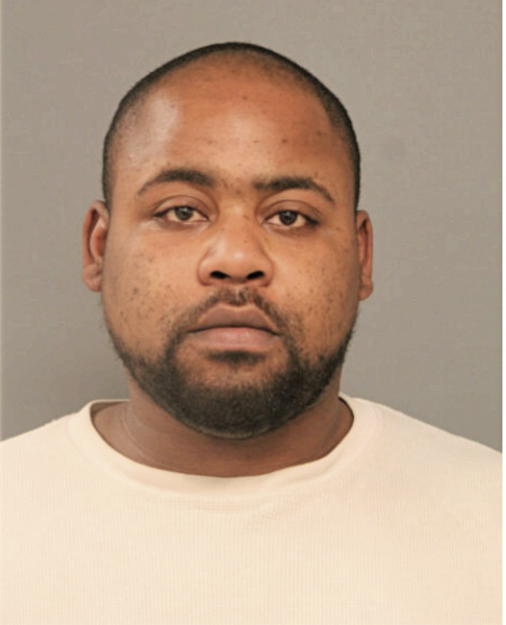 BRANDON A FORD, Cook County, Illinois