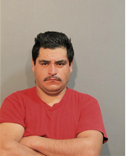 JUAN RAMON GONZALEZ, Cook County, Illinois