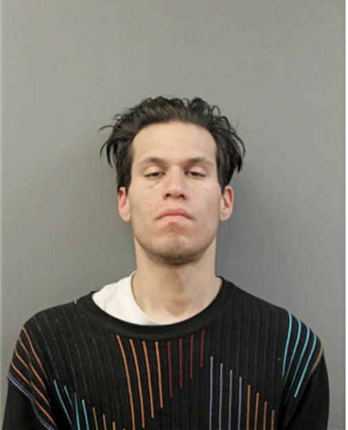 DAVID J GURNEAU, Cook County, Illinois