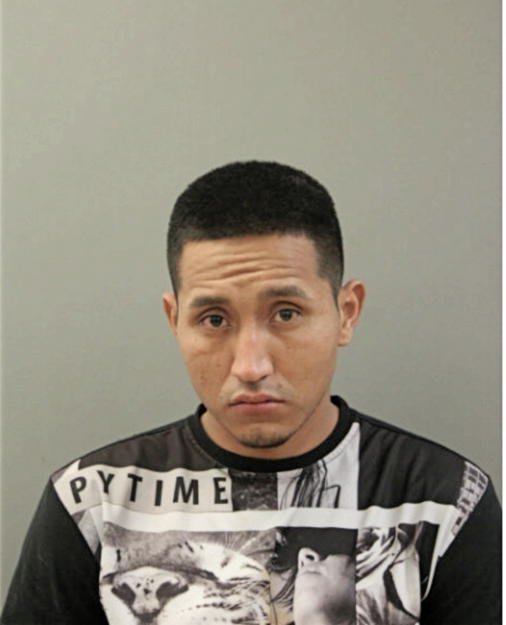 CARLOS H GUZMAN, Cook County, Illinois