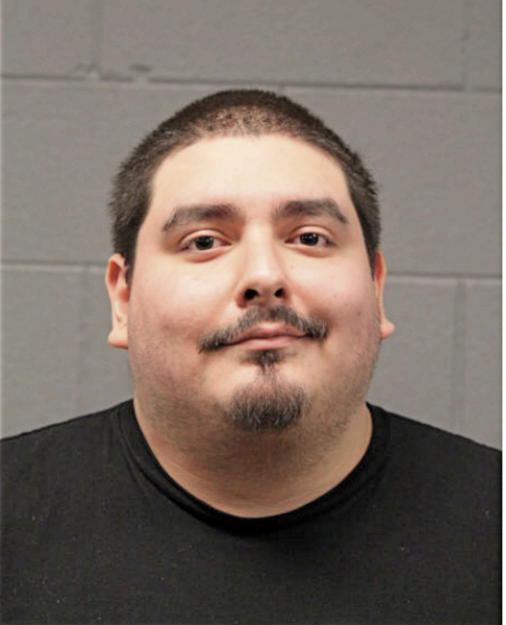 XAVIER L HERNANDEZ, Cook County, Illinois