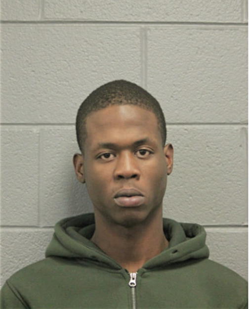 DAVID J HOSKINS, Cook County, Illinois