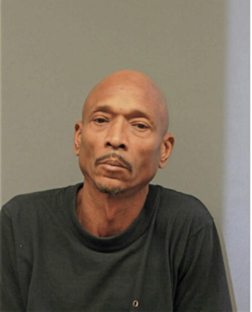 JAMES S JOHNSON, Cook County, Illinois