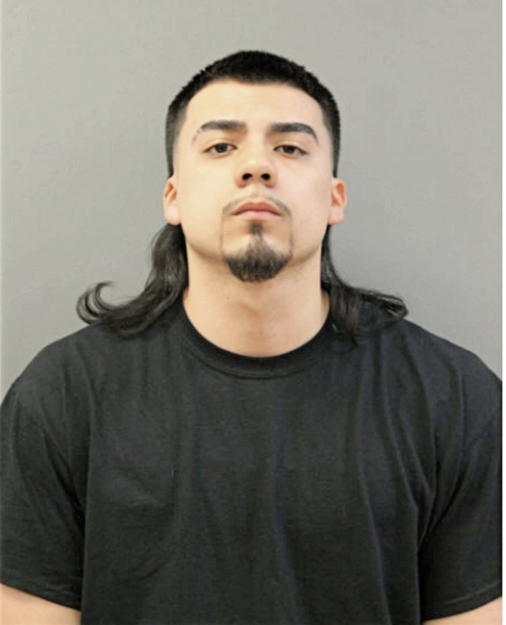 JULIUS LANDEROS, Cook County, Illinois